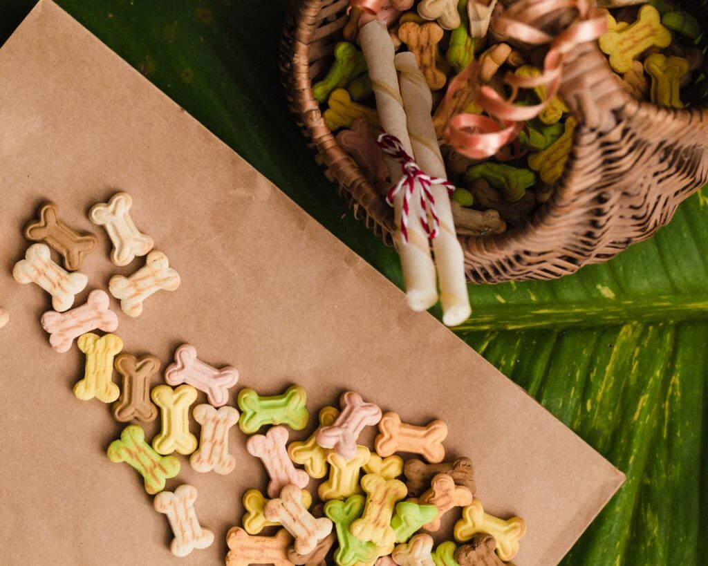 pexels-photo-8121142 A flat lay of colorful dog bone treats scattered from a woven basket on a leaf surface.